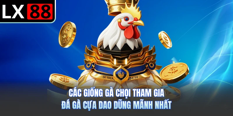 Các giống gà chọi tham gia đá gà cựa dao dũng mãnh nhất