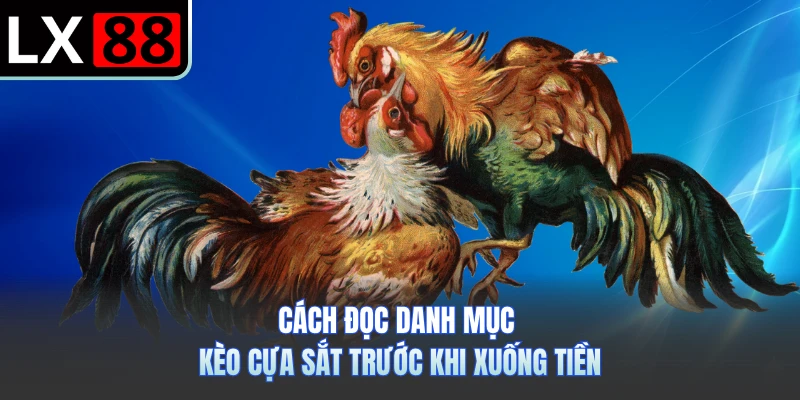 Cách đọc danh mục kèo cựa sắt trước khi xuống tiền