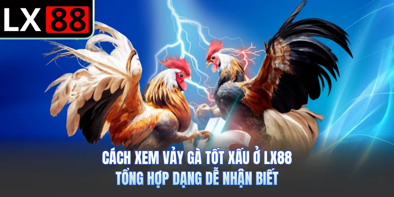 Cách Xem Vảy Gà Tốt Xấu Ở LX88 - Tổng Hợp Dạng Dễ Nhận Biết