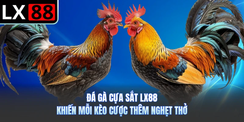 Đá Gà Cựa Sắt LX88 - Khiến Mỗi Kèo Cược Thêm Nghẹt Thở