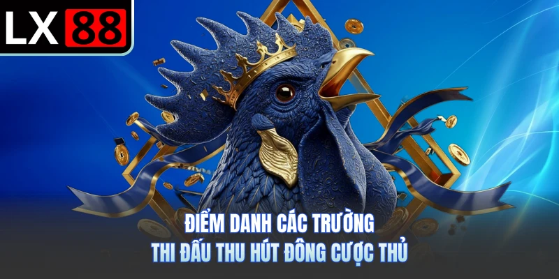 Điểm danh các trường thi đấu thu hút đông cược thủ