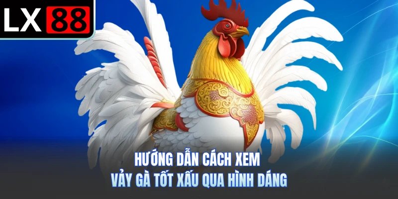 Hướng dẫn cách xem vảy gà tốt xấu qua hình dáng