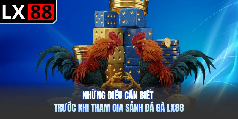 Những điều cần biết trước khi tham gia sảnh đá gà LX88