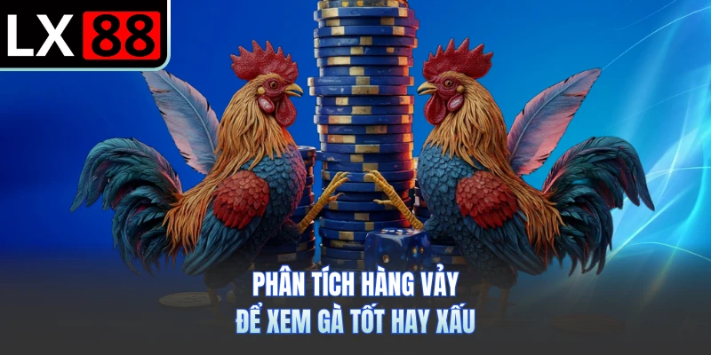 Phân tích hàng vảy để xem gà tốt hay xấu