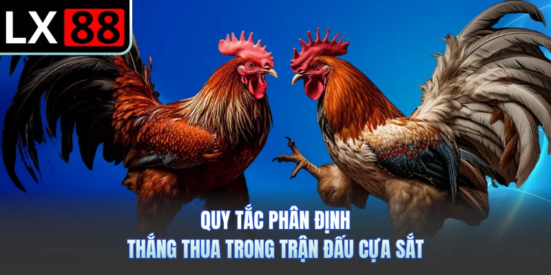 Quy tắc phân định thắng thua trong trận đấu cựa sắt